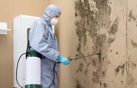 Best Industrial Mold Remediation  in South Whittier, CA